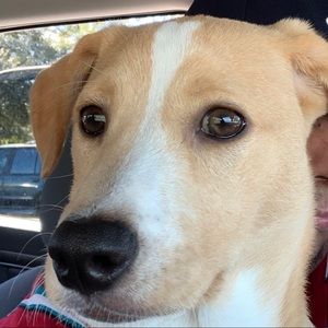 Meet your Posher, Julio cesar